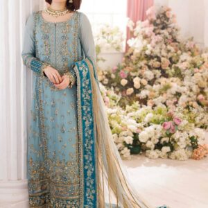 CHIFFON/NET PARTY WEAR COLLECTION 2026
